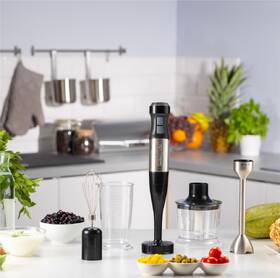Ponorný mixér Zelmer ZHB4752 strieborný

 obrázok produktu 9 z 12