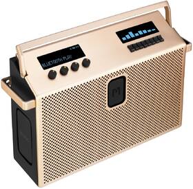 Prenosný reproduktor Mondo Speaker Large zlatý

 obrázok produktu 2 z 8