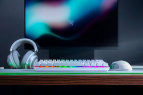 Klávesnica Razer Huntsman Mini - Mercury Ed. (Red Switch) - US Layout biela

 obrázok produktu 4 z 7