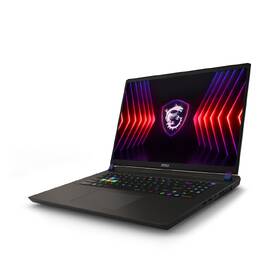 Notebook MSI Vector 17 HX A14VIG-1015CZ sivý

 obrázok produktu 3 z 12