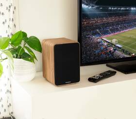 Reproduktory Thomson WS602DUO (2 ks) hnedý

 obrázok produktu 9 z 10