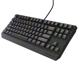 Klávesnica Genesis THOR 230, TKL, RGB, Outemu Red, CZ-SK layout čierna

 obrázok produktu 2 z 19