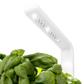 Inteligentný kvetináč Click and Grow Smart Garden 3 

 obrázok produktu 3 z 4