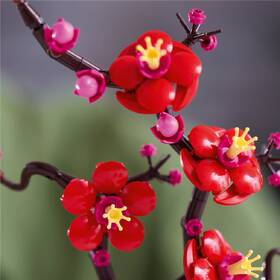 Stavebnica LEGO® Botanicals 10369 Meruňka japonská 

 obrázok produktu 3 z 8