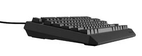 Klávesnica Genesis THOR 230, TKL, RGB, Outemu Brown, US layout čierna

 obrázok produktu 1 z 8