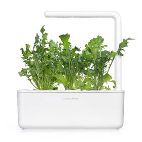 Semienka Click and Grow Rukola (3 ks) 

 obrázok produktu 3 z 3