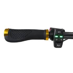 Elektrická kolobežka Kaabo Wolf King GTR zlatá

 obrázok produktu 9 z 13