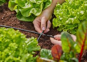 Spojka Gardena MicroDrip System 4,6 mm (10 ks) 

 obrázok produktu 4 z 5