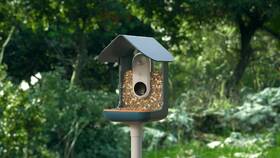 Inteligentný podávač Bird Buddy PRO Solar modré

 obrázok produktu 8 z 19