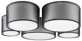 LED stropné svietidlo TRIO Burton, 5x E27 čierne

 obrázok produktu 1 z 1