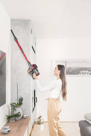 Tyčový vysávač ETA 2233 90000 sivý/červený

 obrázok produktu 18 z 31