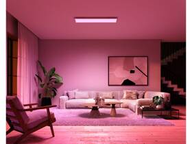 LED stropné svietidlo Philips Surimu, obdĺžnikové biele

 obrázok produktu 5 z 6