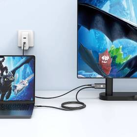 Kábel ERPOWER Displayporter HDMI/USB-C, 4K/60Hz, 2m čierny

 obrázok produktu 2 z 2