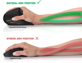 Myš Connect IT Verti TriMode ergonomická vertikálna čierna

 obrázok produktu 8 z 9