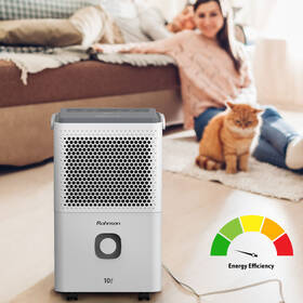 Odvlhčovač Rohnson R-91310 True Ion & Air Purifier biely

 obrázok produktu 6 z 11