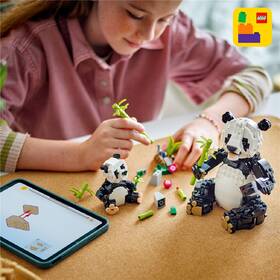 Stavebnica LEGO® Creator 3 v 1 31165 Divoká zvířata: Pandí rodinka 

 obrázok produktu 4 z 7