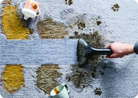Čistič škvŕn Rowenta IN3020F0 Clean It Compact Animal zelený

 obrázok produktu 9 z 12