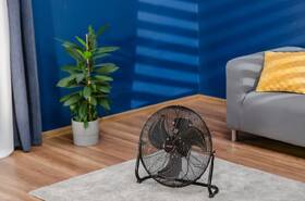 Ventilátor podlahový Zelmer ZFF0350 čierny

 obrázok produktu 3 z 4