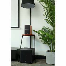 Reproduktory Edifier R1280DBS (2 ks) hnedé

 obrázok produktu 7 z 7