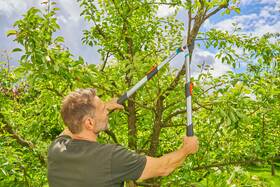 Nožnice na konáre Gardena 970757801 

 obrázok produktu 3 z 4