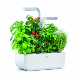 Inteligentný kvetináč Véritable SMART biely

 obrázok produktu 1 z 16