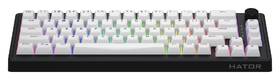 Klávesnica HATOR Skyfall 65 Wireless, US layout čierna/biela

 obrázok produktu 2 z 7