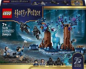 Stavebnica LEGO® Harry Potter™ 76475 Zapovězený les: Expecto Patronum 

 obrázok produktu 7 z 8