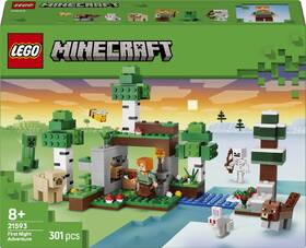 Stavebnica LEGO® Minecraft®  21593 Prvé nočné dobrodružstvo 

 obrázok produktu 9 z 9