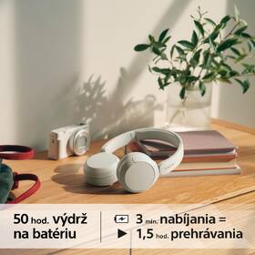 Slúchadlá Sony WH-CH520 biela

 obrázok produktu 7 z 13