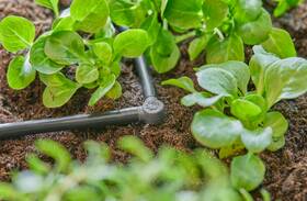 L-spojka Gardena MicroDrip System 4,6 mm (10 ks) 

 obrázok produktu 4 z 5
