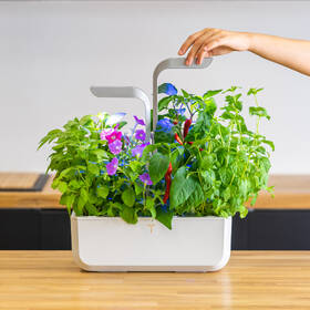 Inteligentný kvetináč Véritable SMART biely

 obrázok produktu 11 z 16