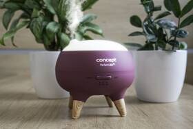 Aróma difuzér Concept DF1011 Perfect Air Berry 

 obrázok produktu 8 z 11