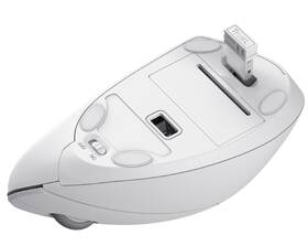 Myš Trust Verto Ergonomic Wireless biela

 obrázok produktu 5 z 11