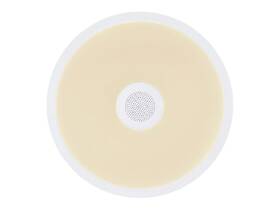 LED stropné svietidlo GLOBO RAFFY 41366W biele

 obrázok produktu 7 z 9