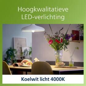 LED žiarovka Philips 75W, A60, E27, neutrální bílá 

 obrázok produktu 3 z 3