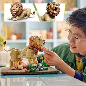 Stavebnica LEGO® Creator 3 v 1 31386 Divoké zvieratá: Majestátny lev 

 obrázok produktu 6 z 8
