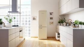 Chladnička s mrazničkou Gorenje ONRK619DC-L krémová

 obrázok produktu 21 z 23
