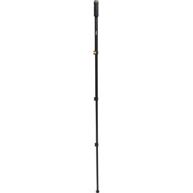 Statív National Geographic Photo Monopod čierny

 obrázok produktu 2 z 14