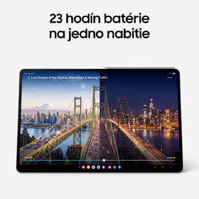 Tablet Samsung Galaxy Tab S12 Ultra 5G 12 GB / 256 GB + dotykové pero sivý

 obrázok produktu 8 z 24