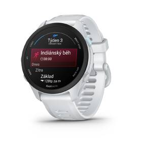Inteligentné hodinky Garmin Forerunner 70 sivé

 obrázok produktu 3 z 12