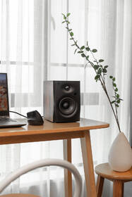 Reproduktory Swan D1100 (2 ks) hnedé

 obrázok produktu 11 z 14