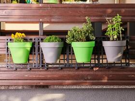  Delimano WALL GREEN 

 obrázok produktu 1 z 4