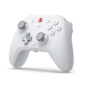Gamepad GameSir T4 Cyclone Multi-Platform biely

 obrázok produktu 1 z 2
