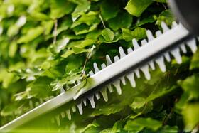 Nožnice na živý plot Gardena EasyCut 55/18V (bez baterie) 14735-55 

 obrázok produktu 2 z 4