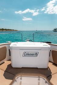 Chladiaci box Coleman 70QT CHEST biely

 obrázok produktu 3 z 9