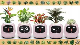 Inteligentný kvetináč Plantsio IVY fialový

 obrázok produktu 3 z 5