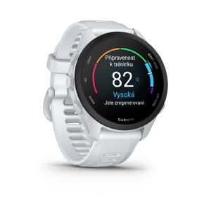 Inteligentné hodinky Garmin Forerunner 70 sivé

 obrázok produktu 8 z 12