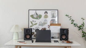 Reproduktory Swan D100 (2 ks) hnedé

 obrázok produktu 9 z 12