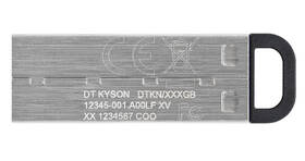 USB flashdisk Kingston DataTraveler Kyson 256GB strieborný

 obrázok produktu 2 z 3