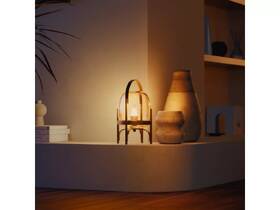 Inteligentná žiarovka Philips Hue Philips Hue W B39 E14 EU (2ks) biela

 obrázok produktu 5 z 5